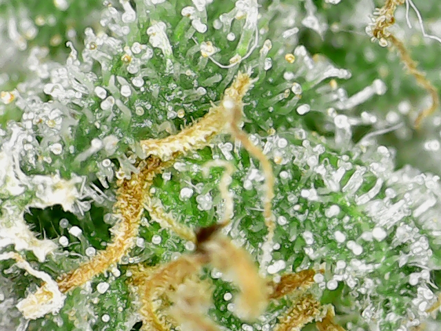 S20200901_0007