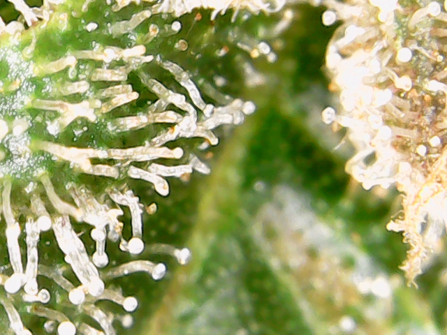 2020-03-11_20-07-51-47