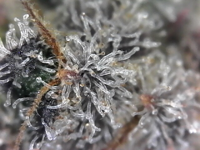 S20220603_0003