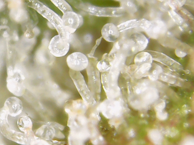 2020-03-11_20-06-22-63