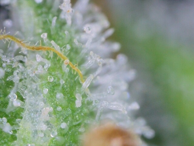 usbcamera20220106212153