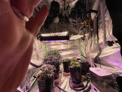 2E92E47C-D12C-4F2A-A510-7CF767B8F2D8