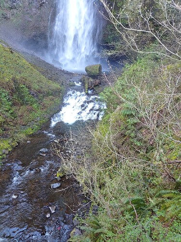 20210416_145558_HDR
