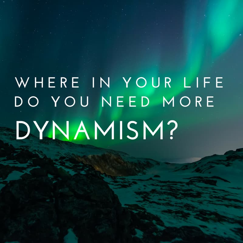 Life with more Dynamism