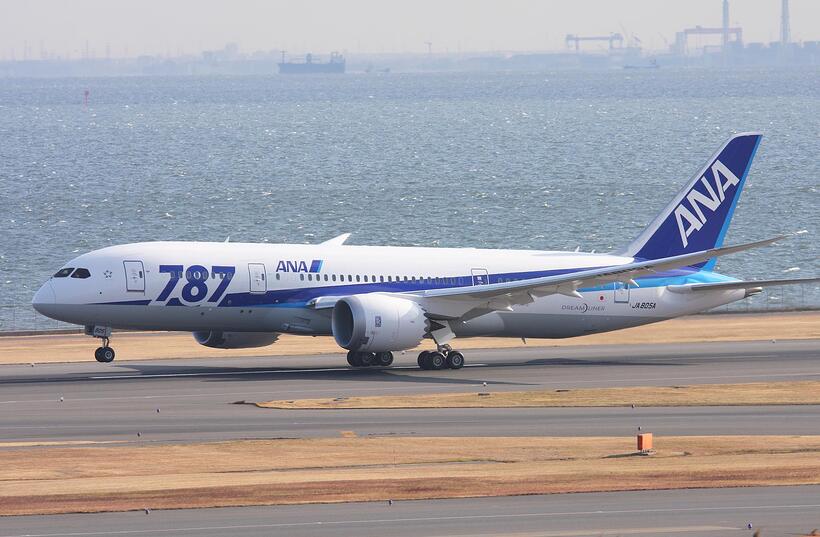 First 30 ANA Boeing 787-8 - Features - Infinite Flight Community