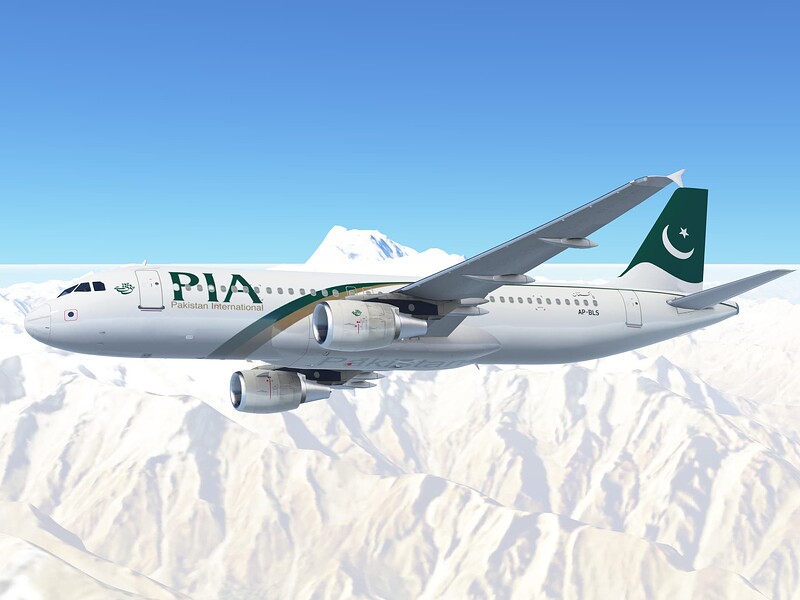 InfiniteFlight_2025-07-11-06-15-58