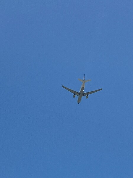IMG_3353
