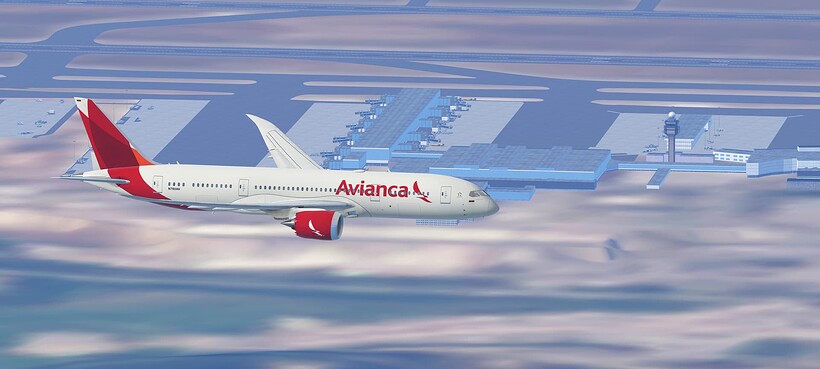 InfiniteFlight_2025-06-10-10-14-20