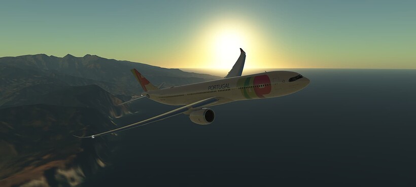 InfiniteFlight_2025-06-17-16-51-47