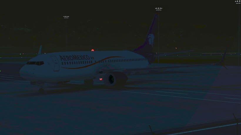 InfiniteFlight_2025-06-22-00-07-14