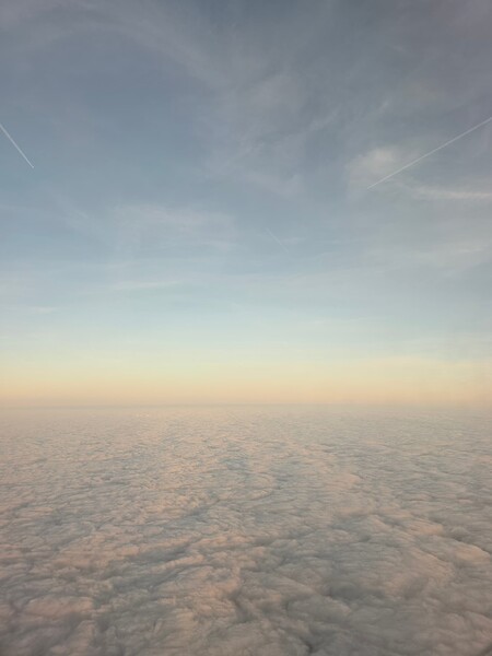 20250410_064241(0)