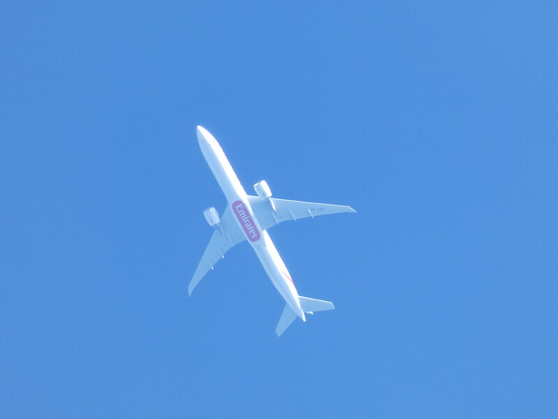 P1010432