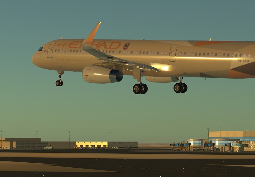 InfiniteFlight_2025-06-19-17-42-14