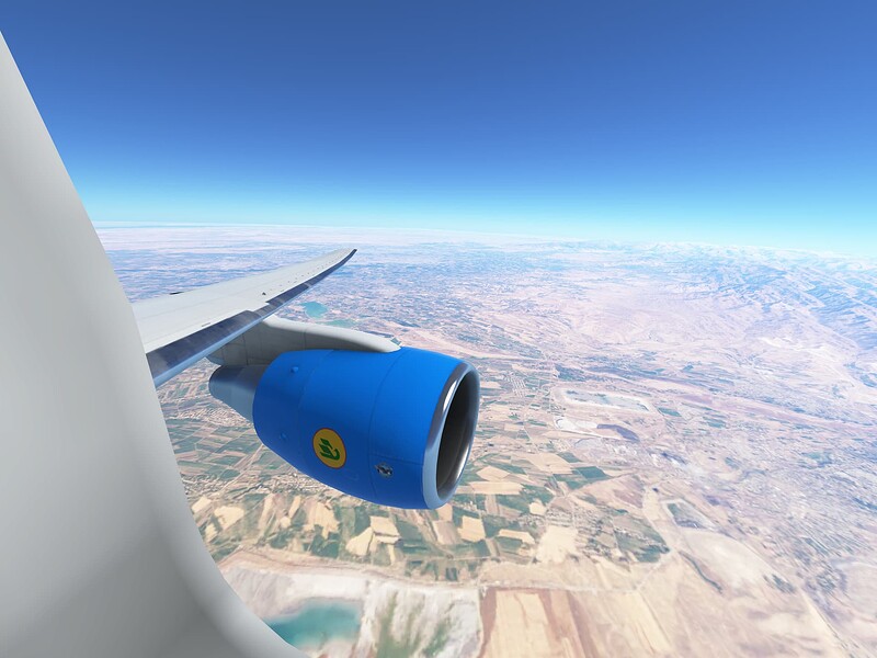 InfiniteFlight_2025-06-11-03-16-02