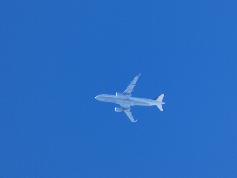 P1010094