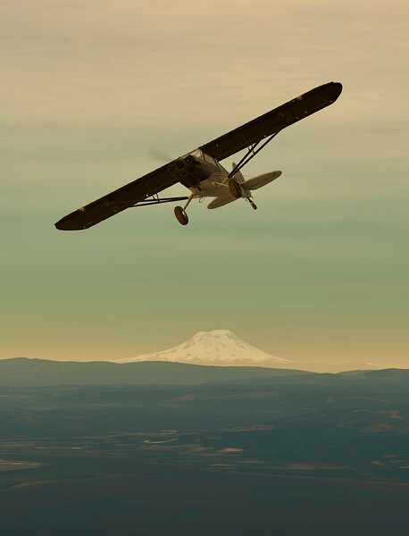 InfiniteFlight_2025-07-06-01-42-06