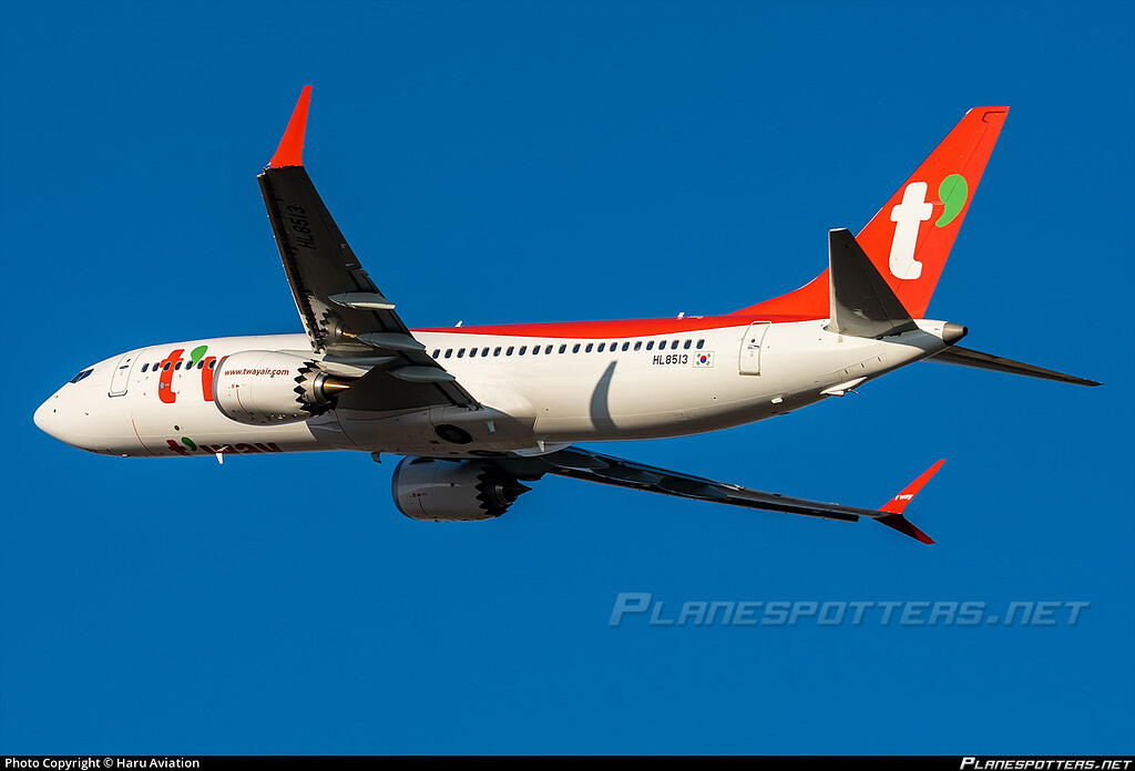 うぃりー うぃりー ボーイング、瑞麗航空から737 MAX 30機の