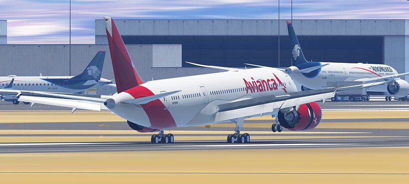 InfiniteFlight_2025-06-09-09-07-01
