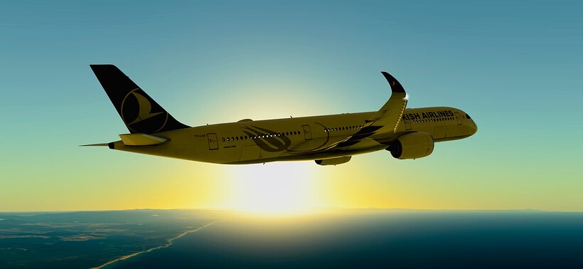 InfiniteFlight_2025-07-31-10-08-14