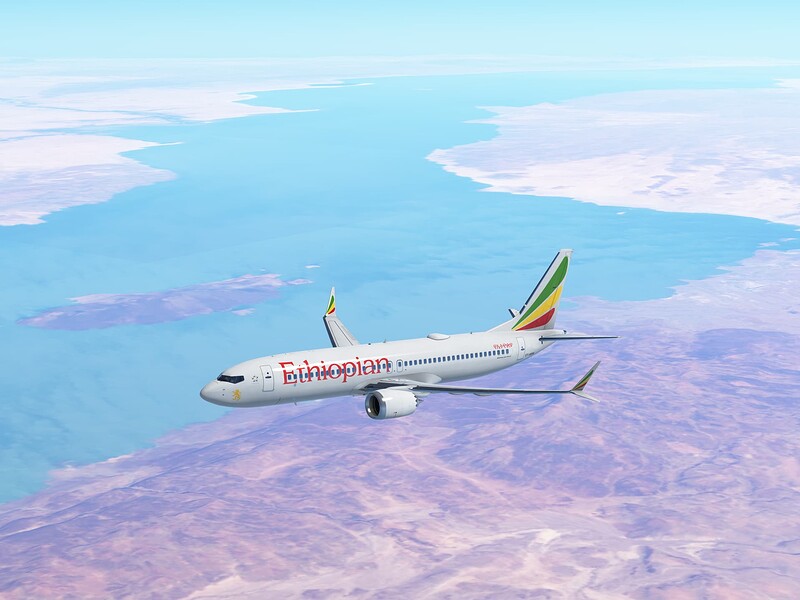 InfiniteFlight_2025-06-24-11-14-43