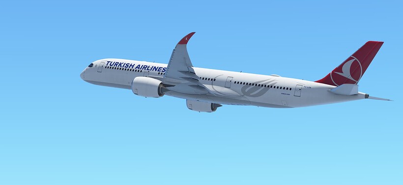 InfiniteFlight_2025-07-24-16-41-20