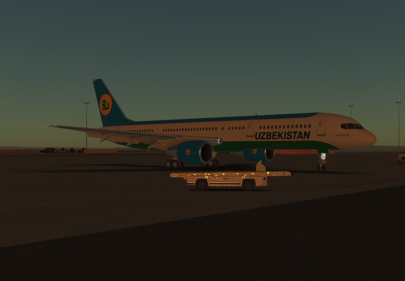 InfiniteFlight_2025-06-11-21-24-00