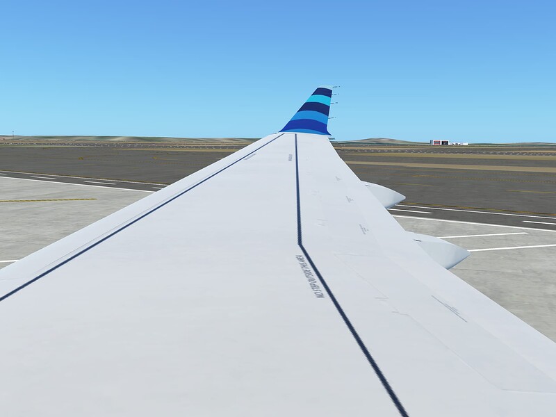 InfiniteFlight_2025-06-18-00-50-16