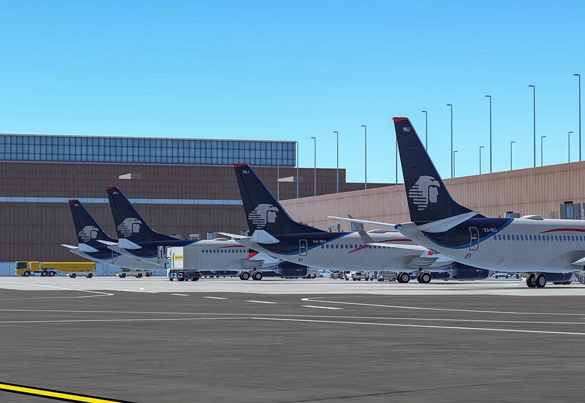 InfiniteFlight_2025-08-09-16-39-28