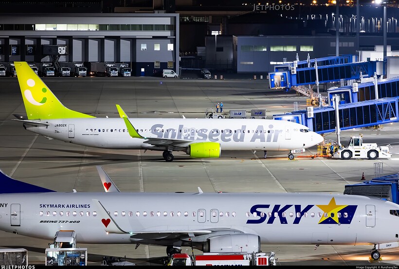 Solaseed Air 737-800 - Features - Infinite Flight Community