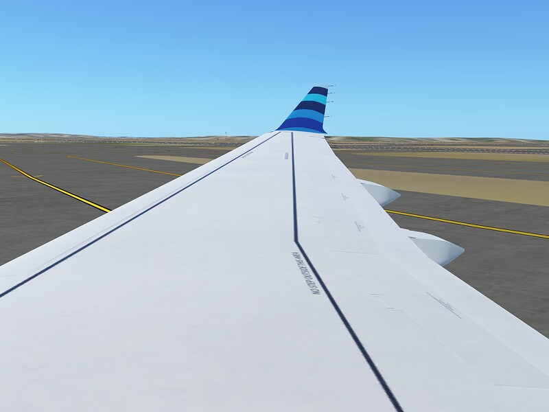 InfiniteFlight_2025-06-18-00-50-48