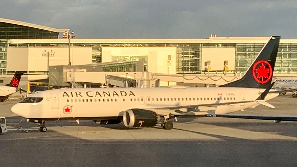 Bird Spotting In Various Places Spotting Infinite Flight Community