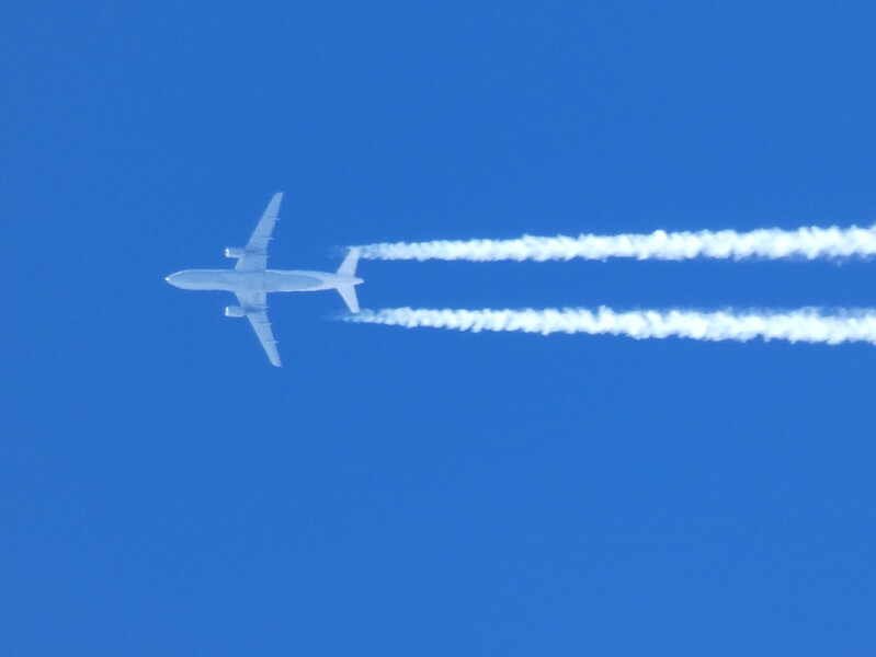 P1010095
