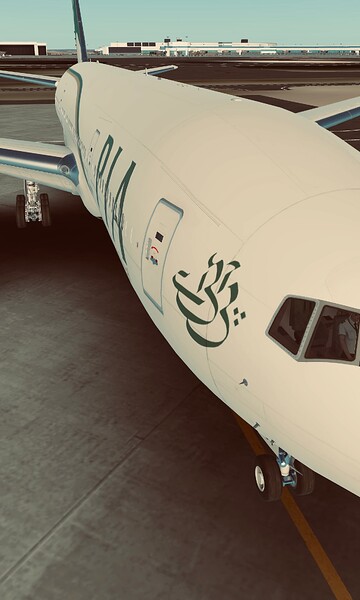 InfiniteFlight_2025-10-10-17-52-18