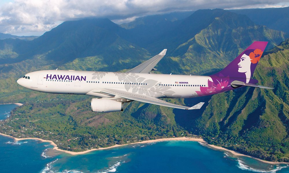 HAWAIIAN AIRLINES 毛布 グレー HAWAIIAN AIRLINES 毛布 グレー