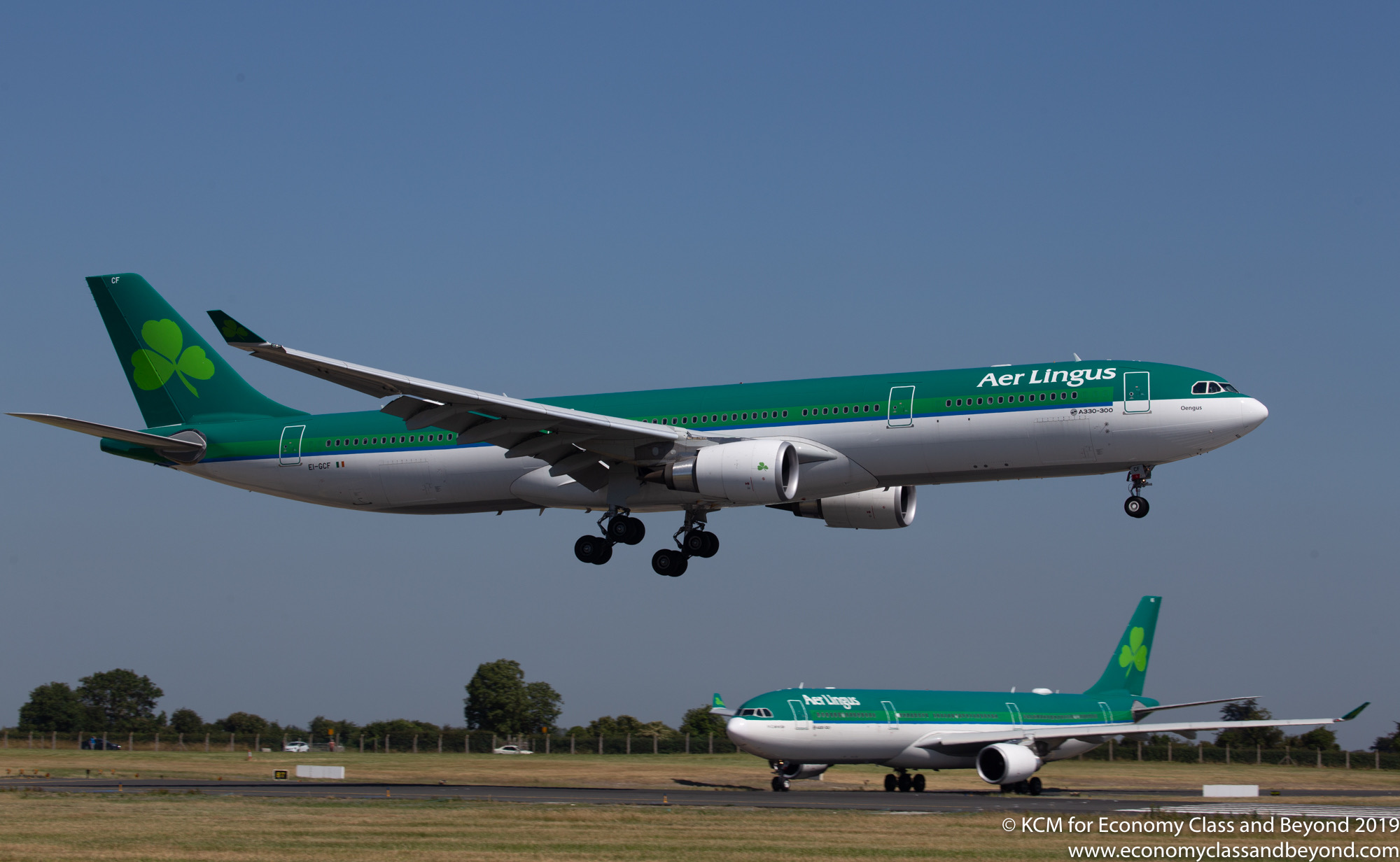 【5％OFF】 AerLingus Flight Infinite - Features - Livery) (Old A330-300 航空機・ヘリコプター