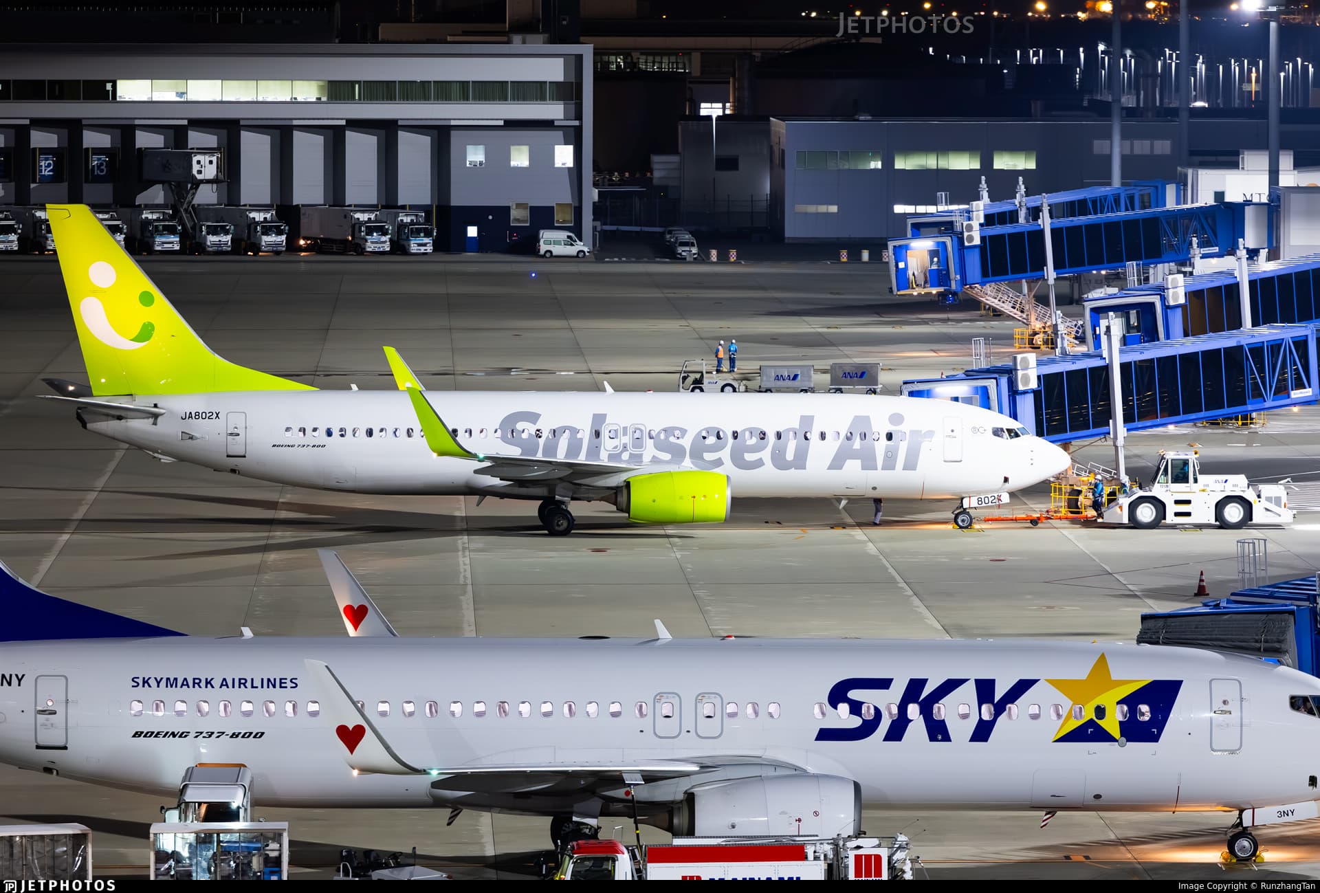 Solaseed Air 737-800 - #15 by ShinanoSky_YT - Features