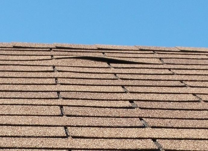 roof 6.jpg