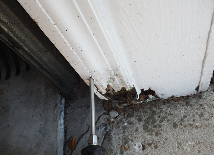 DSCF6960.JPG