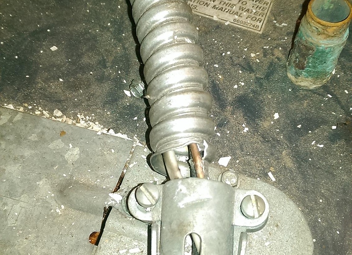 IMAG3165.jpg