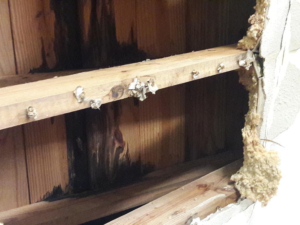 Roof inspection Short Essay Roofing Inspections InterNACHI®️ Forum