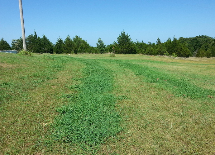 20160706_154251.jpg