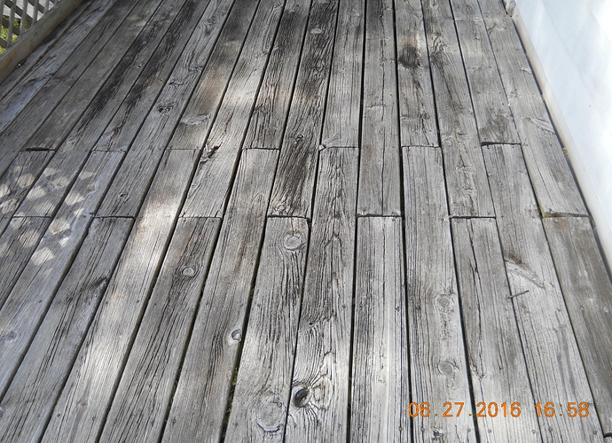 DSCN0263.jpg