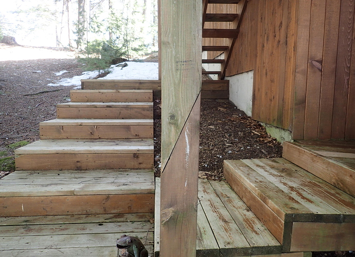 P3213188-1.jpg