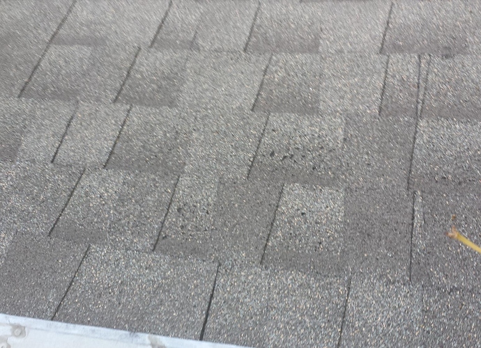 Roof.jpg