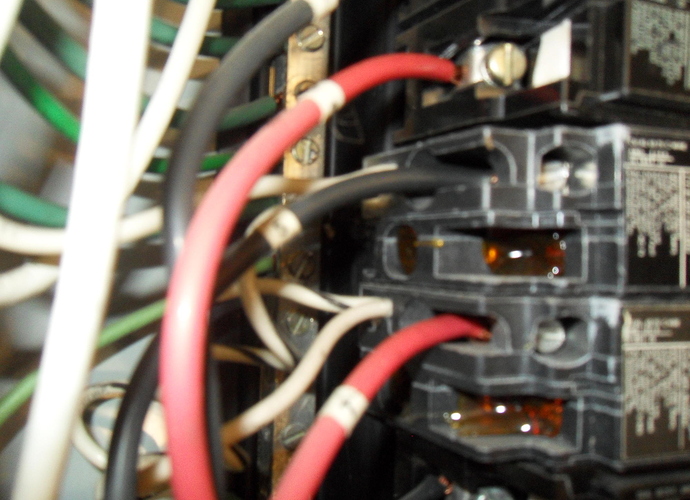 SDC10072.jpg