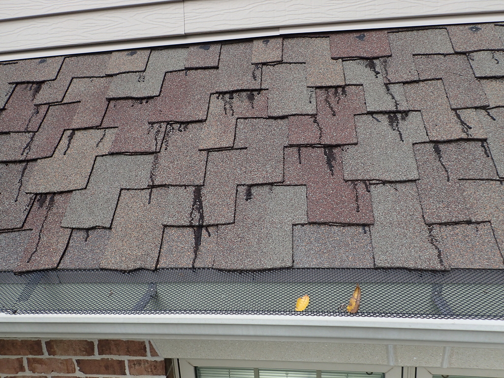 Tar seeping from under shingles Roofing Inspections InterNACHI®️ Forum