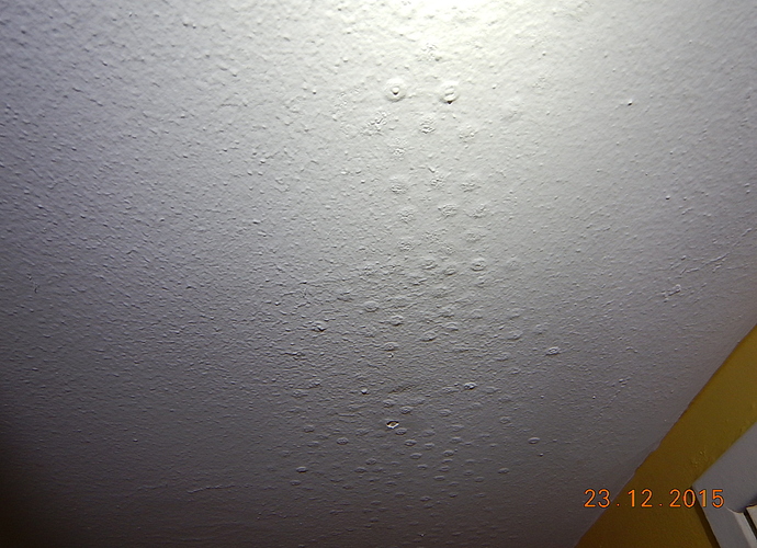 DSCN3166.JPG