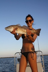DAVE FISHY