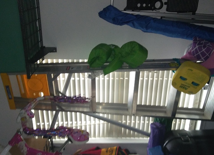 Ladder of Shame.jpg