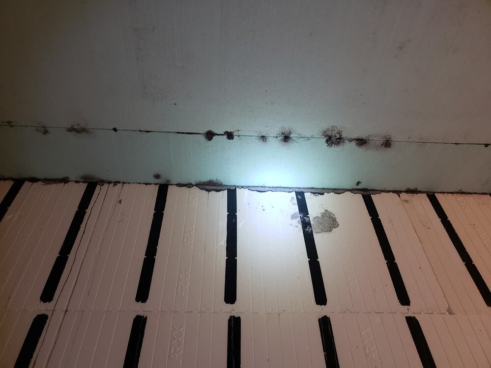 Black Substance On Insulated Panels Interior Inspections InterNACHI black-substance-on-insulated-panels-interior-inspections-internachi